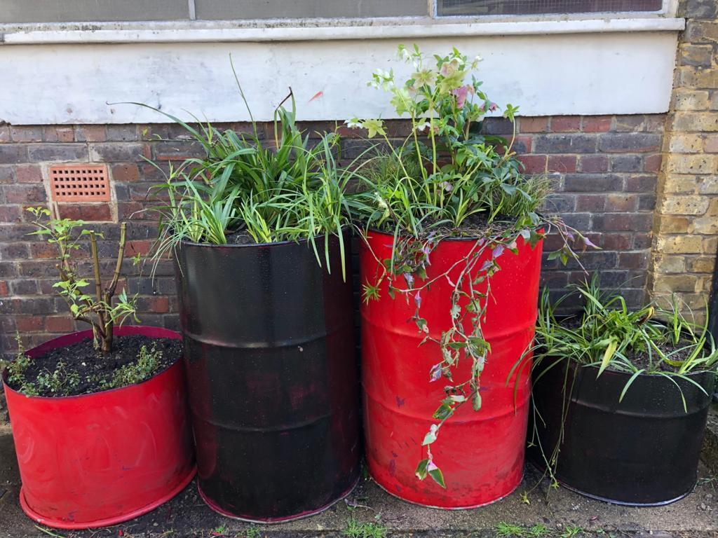 Photo from debmitchener(12)